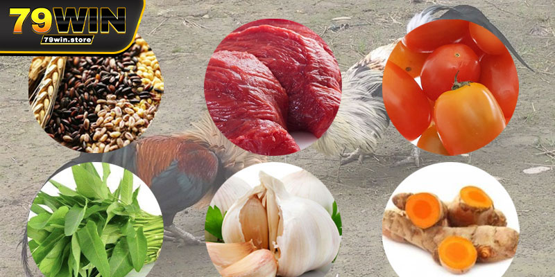 Hướng dẫn cách chăm sóc gà đá hiệu quả và chi tiết nhất 