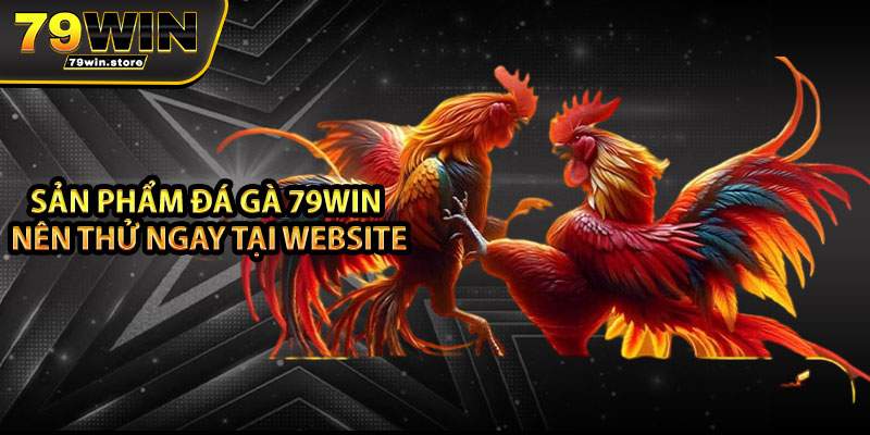 Sản phẩm đá gà 79win nên thử ngay tại website