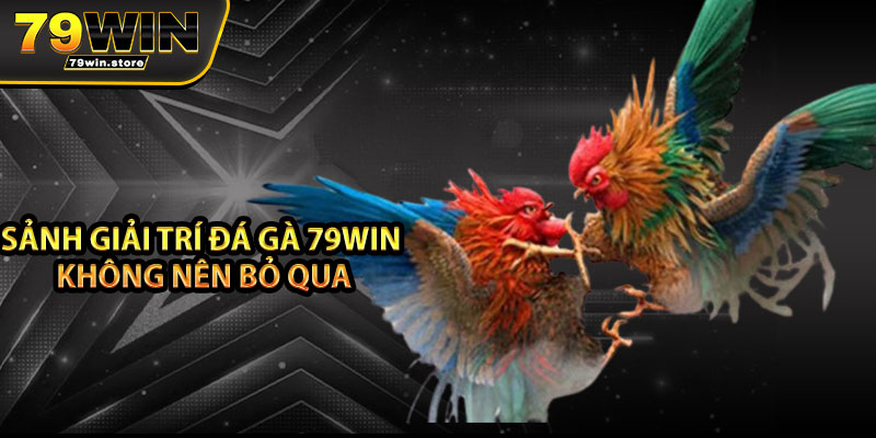 Sảnh giải trí đá gà 79win không nên bỏ qua